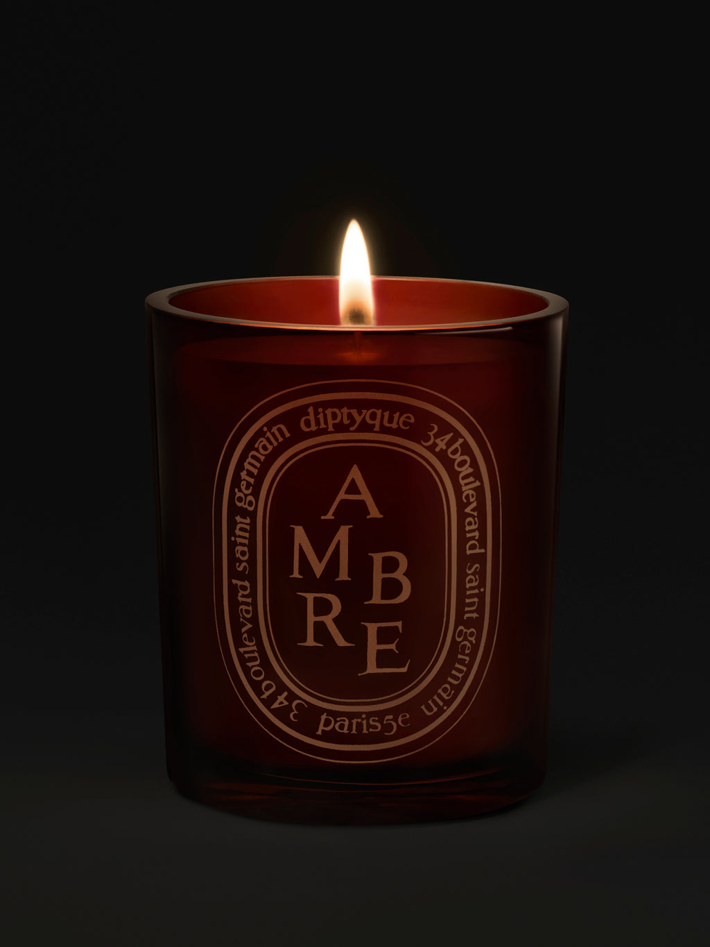 Diptyque Paris Ambre Amber Medium Candle