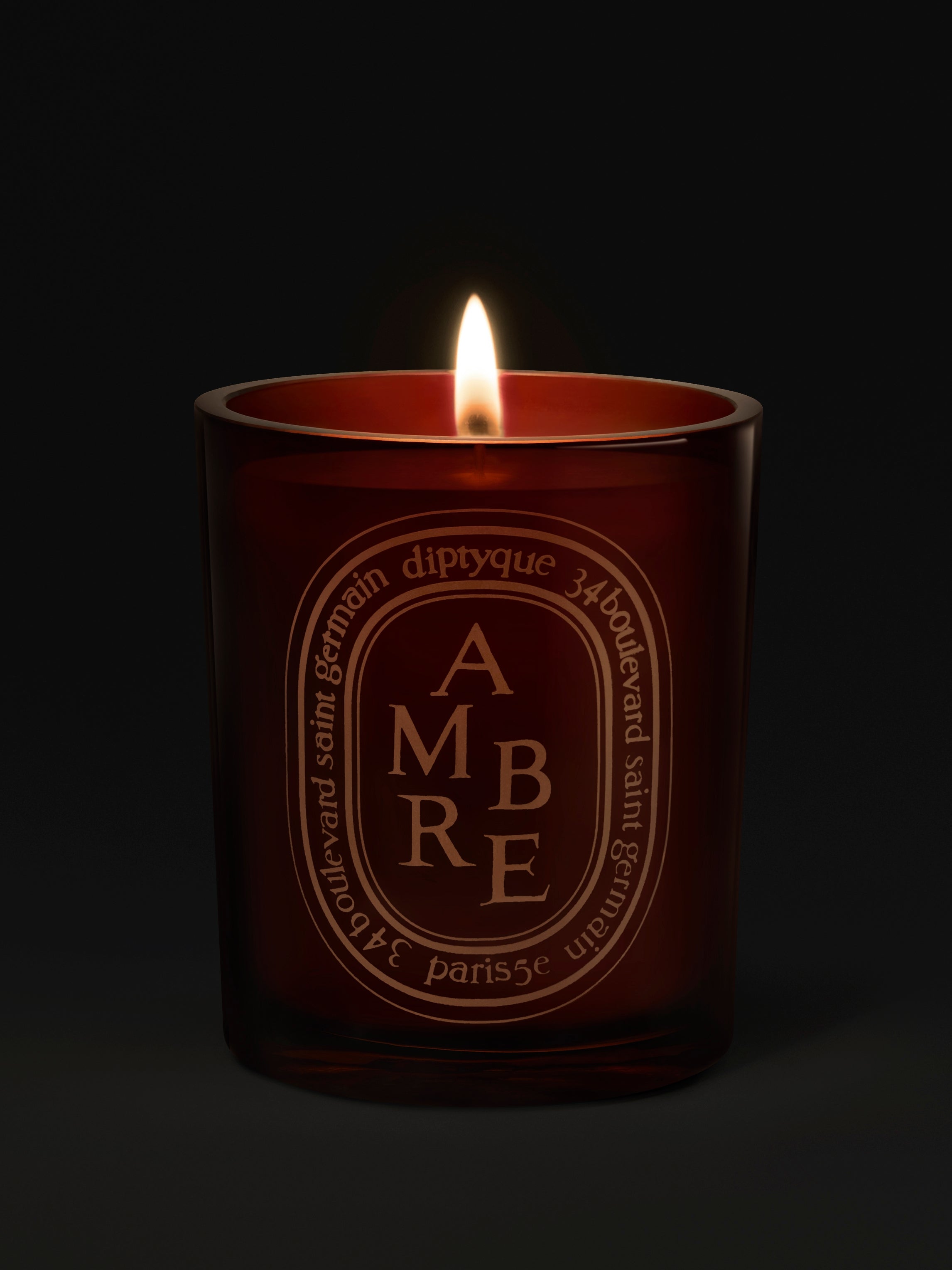 Diptyque Paris Ambre Amber Medium Candle