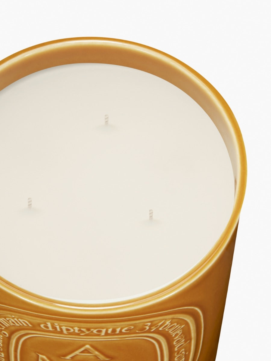 Diptyque Paris Ambre Amber Large Candle