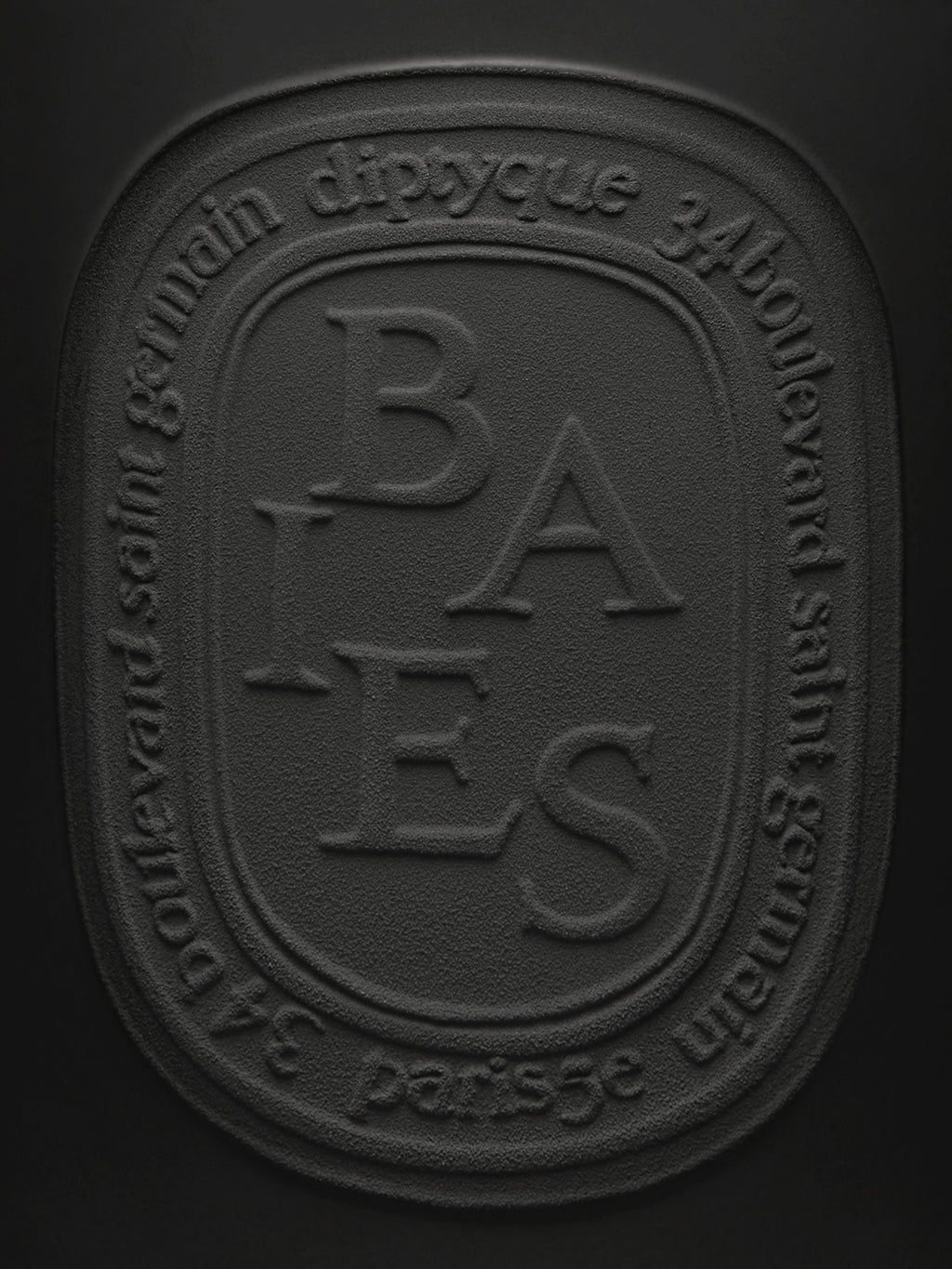 Diptyque Paris Baies Berries Very Large Candle