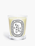 Diptyque Paris Eucalyptus Classic Candle