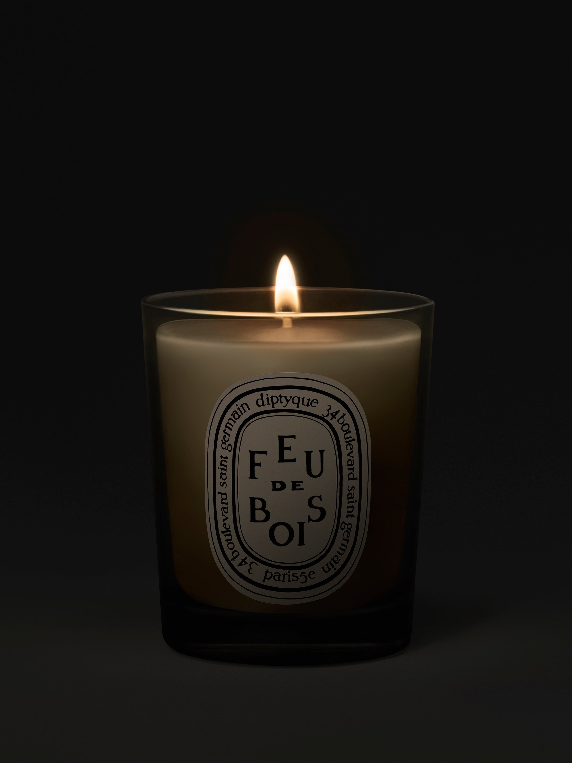 Diptyque Paris Feu De Bois Wood Heat Small Candle