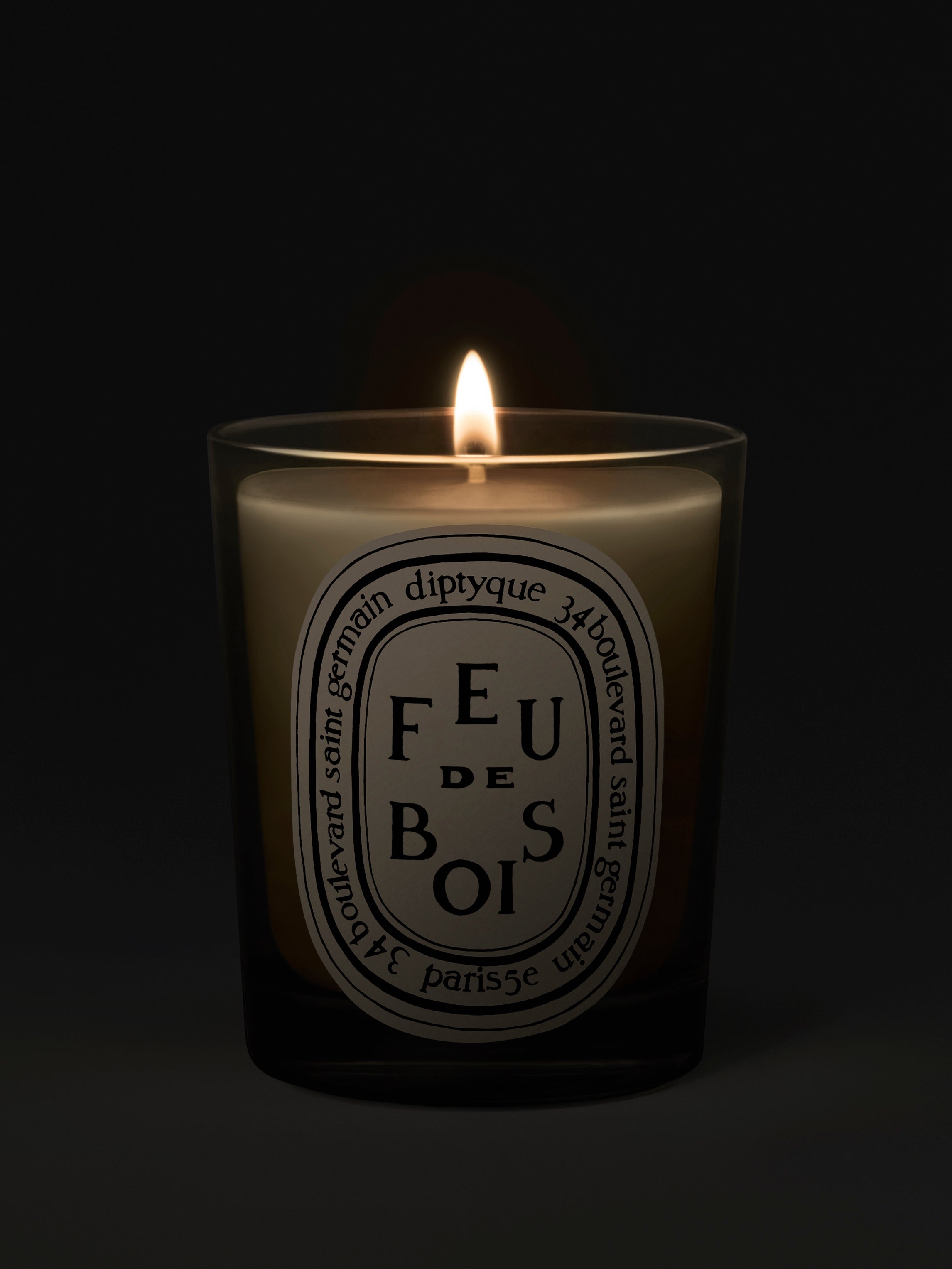 Diptyque Paris Feu De Bois Wood Heat Classic Candle