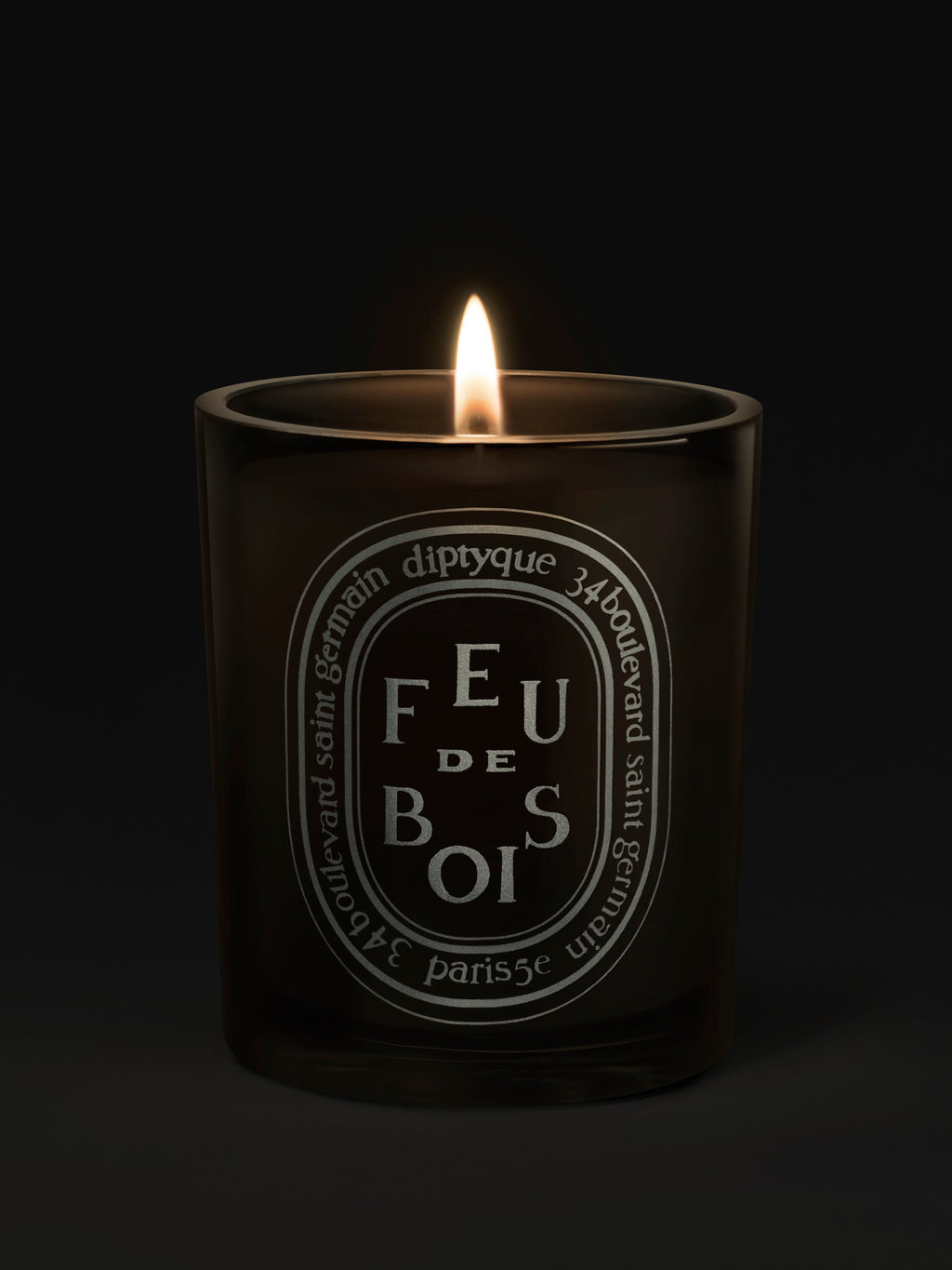 Diptyque Paris Feu De Bois Wood Heat Medium Candle