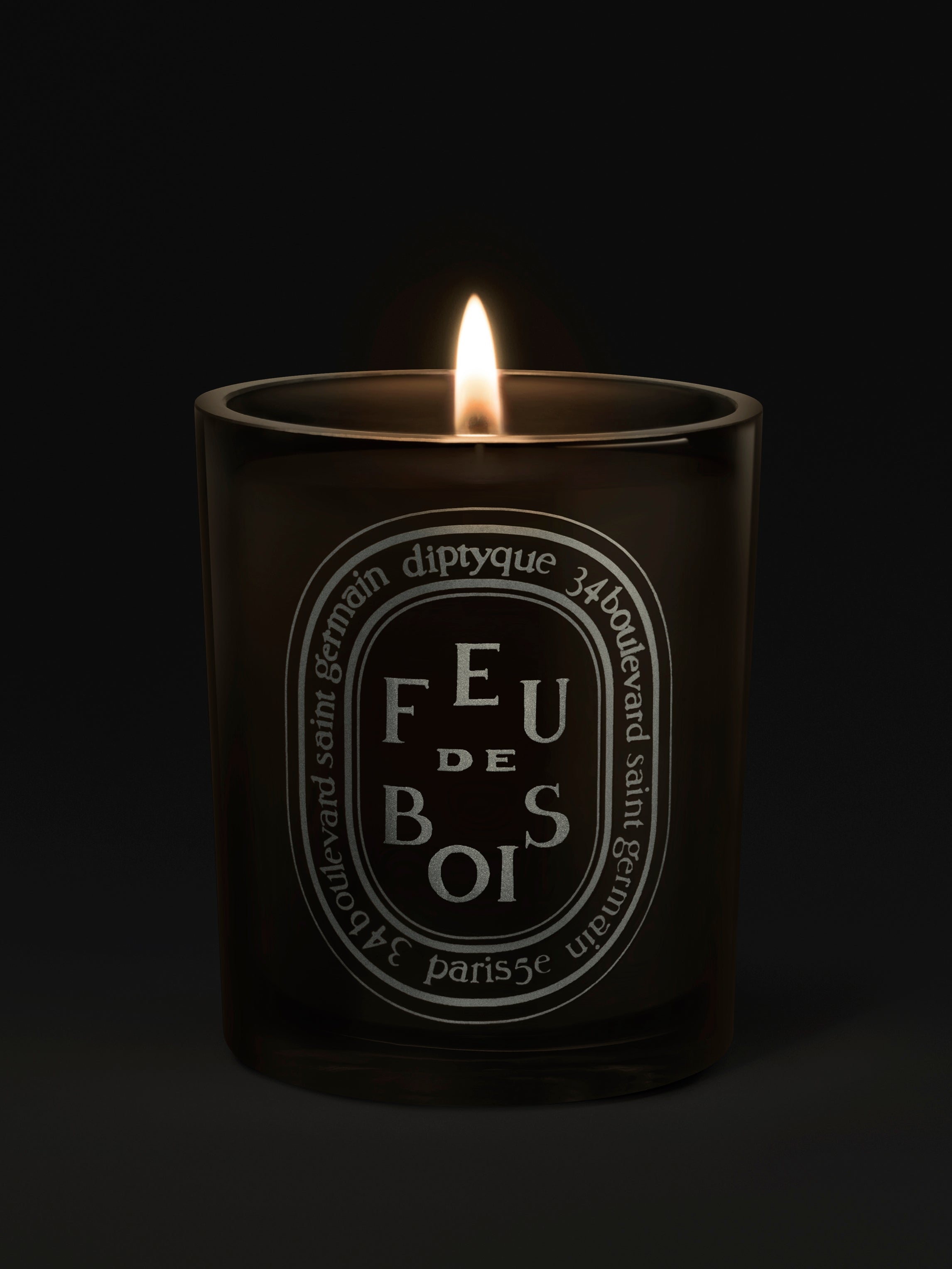 Diptyque Paris Feu De Bois Wood Heat Medium Candle