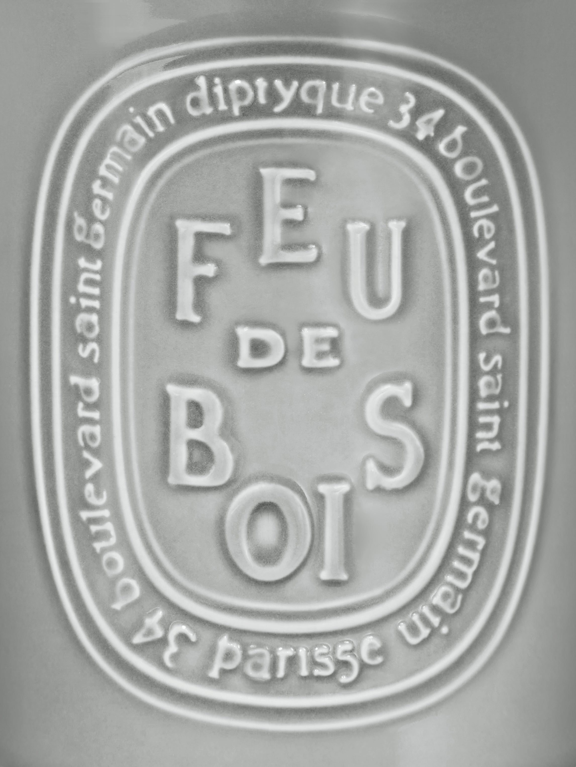Diptyque Paris Feu De Bois Wood Heat Large Candle