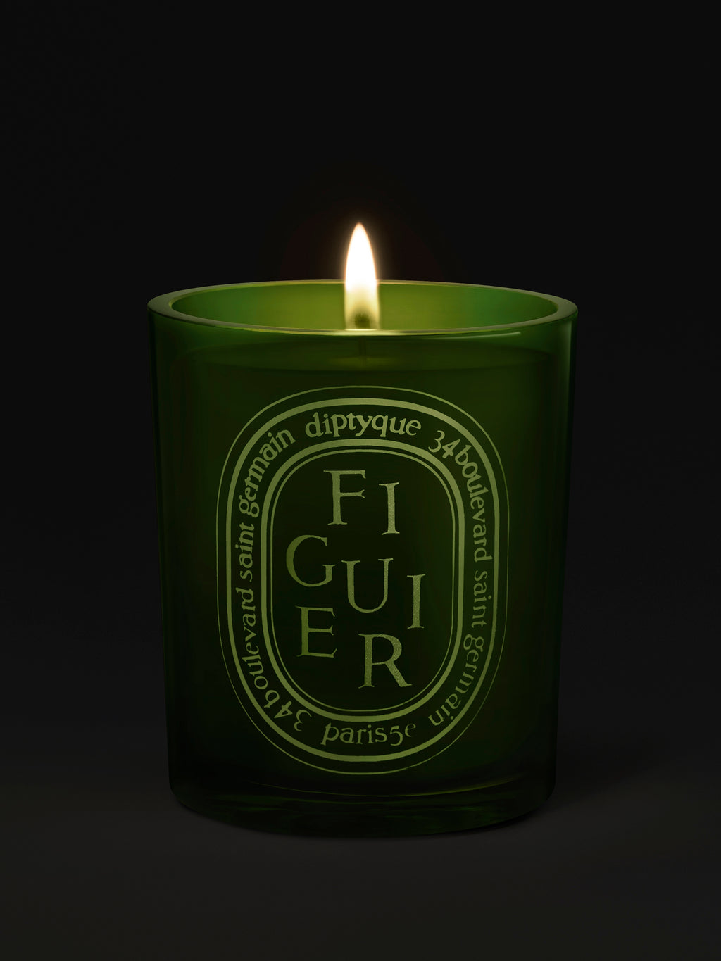 Diptyque Paris Figuier Fig Tree Medium Candle