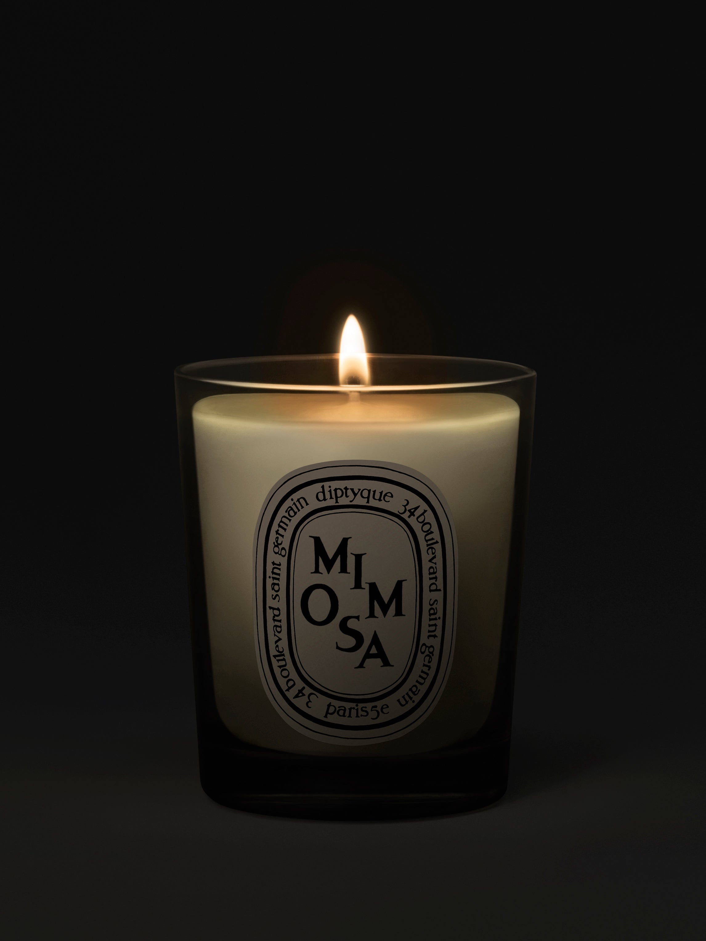 Diptyque Paris Mimosa Small Candle