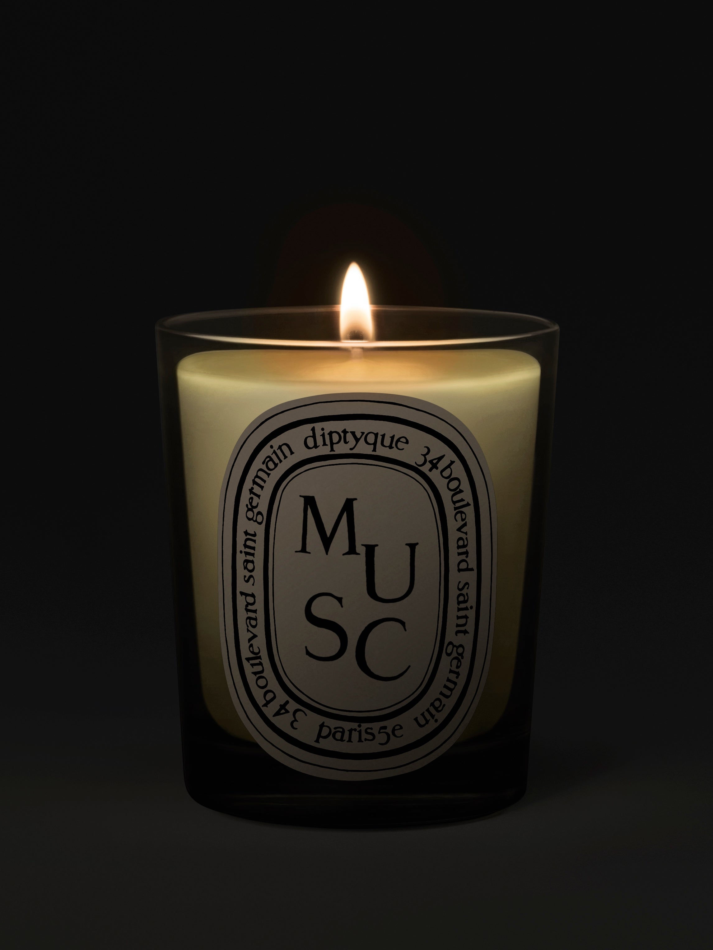 Diptyque Paris Musc Musk Classic Candle