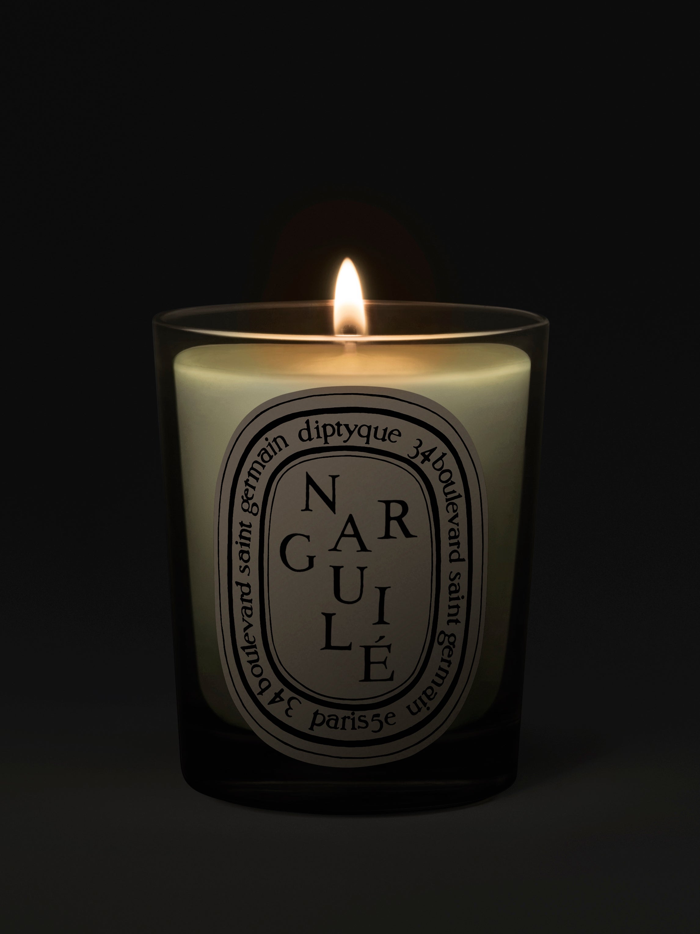 Diptyque Paris Narguila Classic Candle