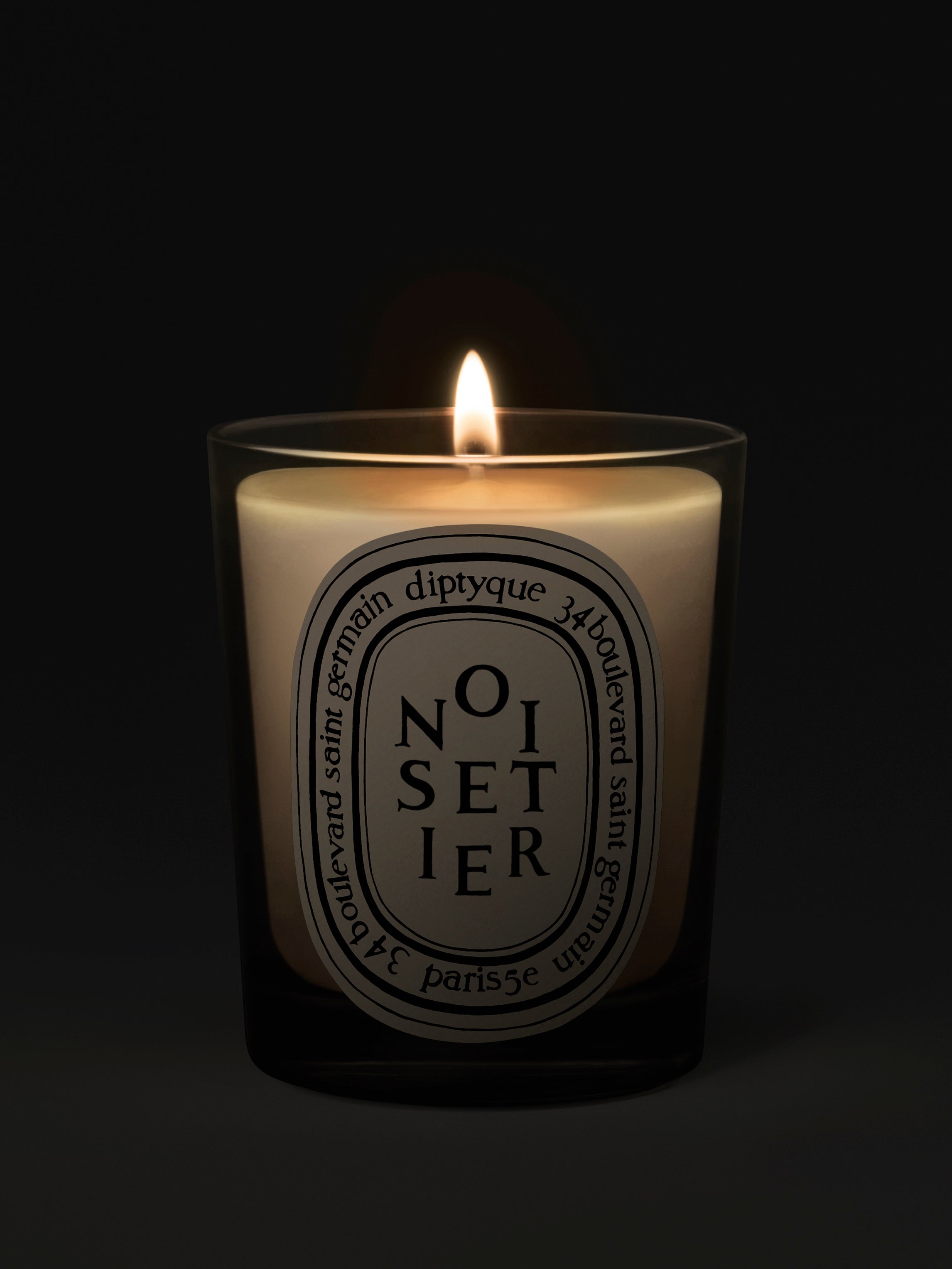 Diptyque Paris Noisetier Hazel Tree Classic Candle