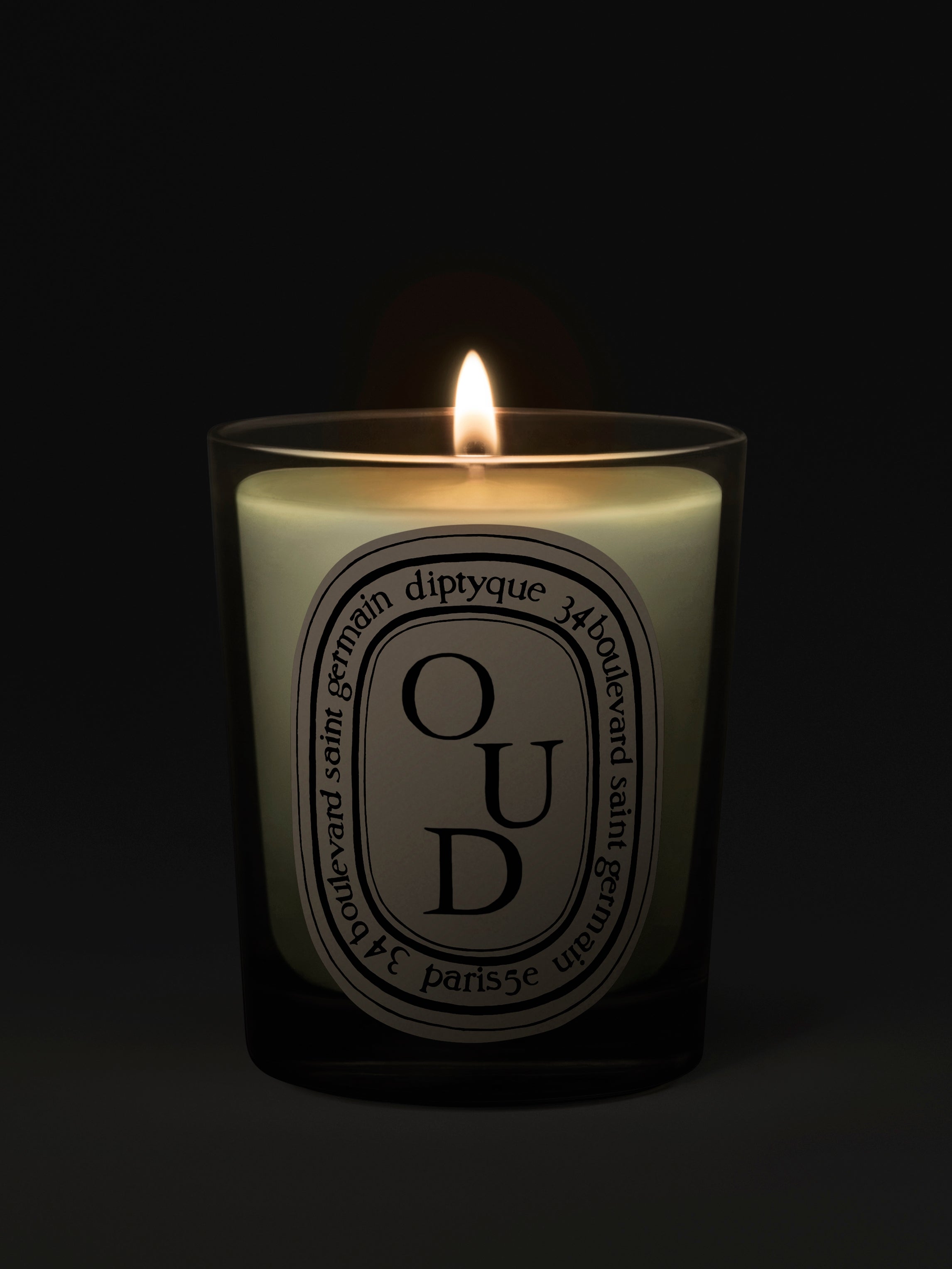 Diptyque Paris Oud Classic Candle