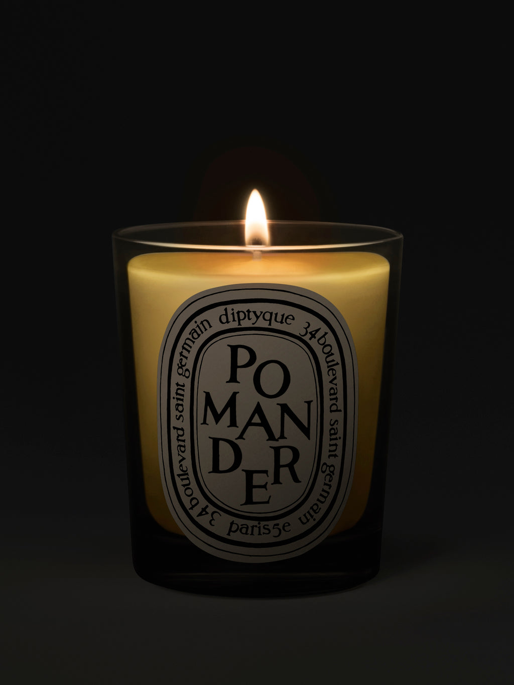Diptyque Paris Pomander Classic Candle