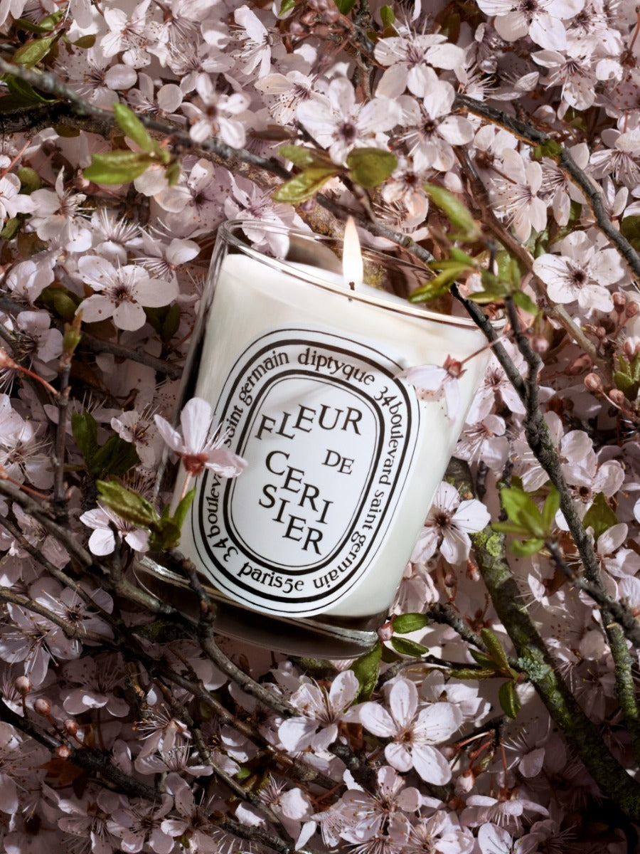 Diptyque Paris Fleur De Cerisier Cherry Blossom Classic Candle
