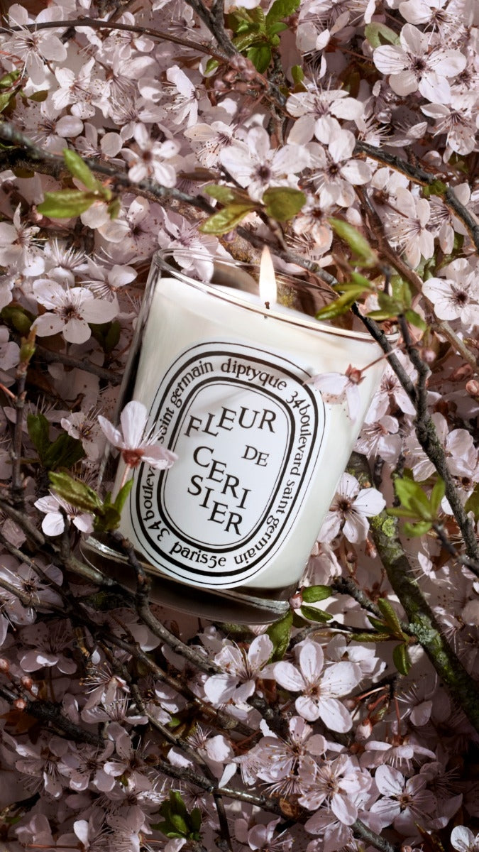 Diptyque Paris Fleur De Cerisier Cherry Blossom Classic Candle