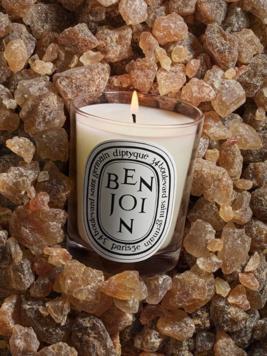 Diptyque Paris Benjoin Benzoin Classic Candle