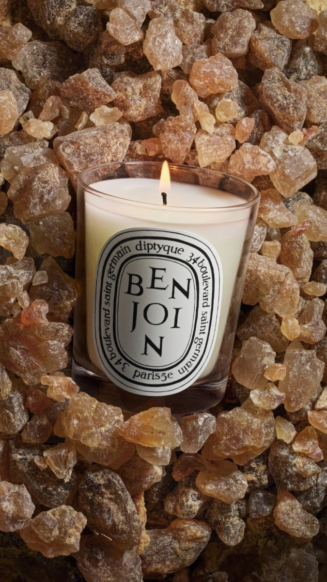 Diptyque Paris Benjoin Benzoin Classic Candle