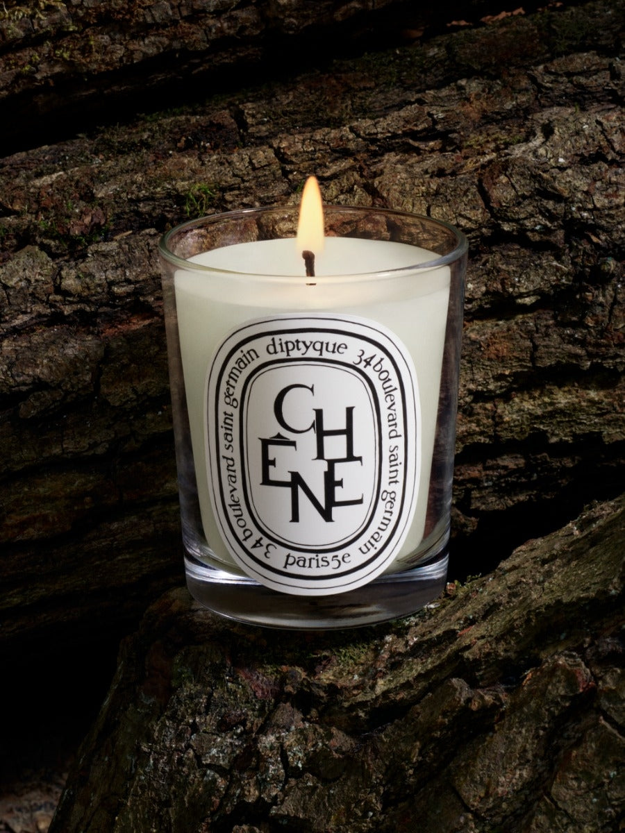 Diptyque Paris Chene Oak Tree Classic Candle