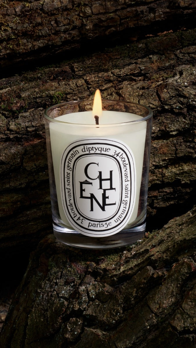 Diptyque Paris Chene Oak Tree Classic Candle