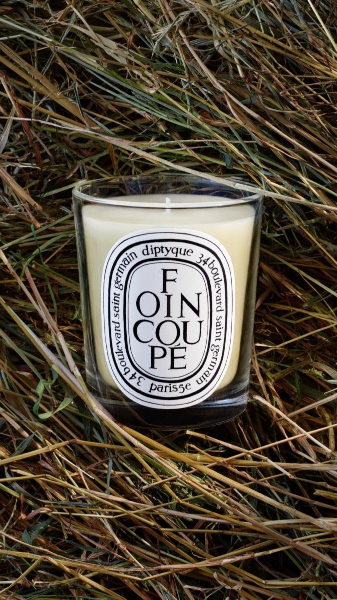 Diptyque Paris Foin Coupa Fresh Mown Hay Classic Candle