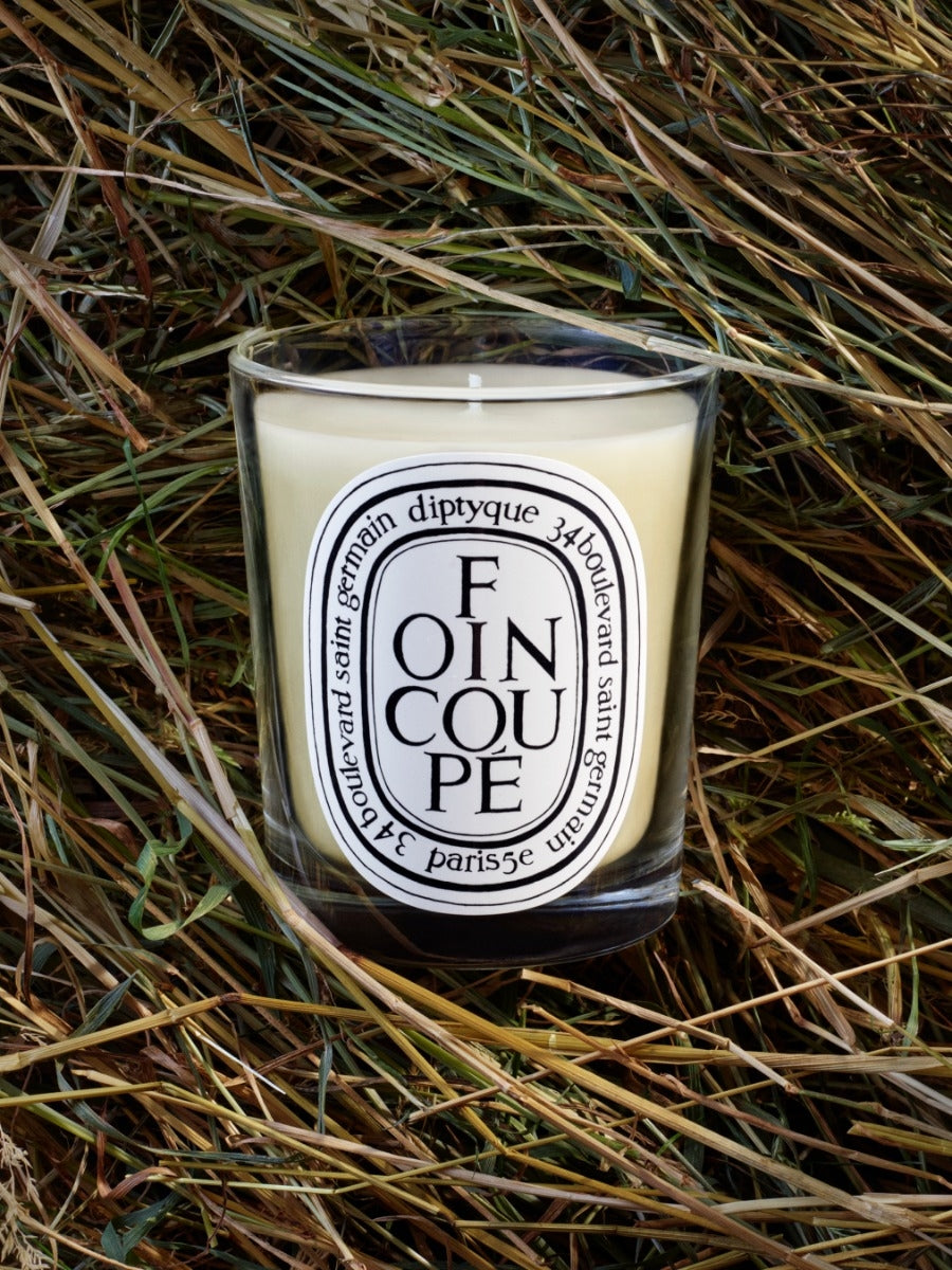 Diptyque Paris Foin Coupa Fresh Mown Hay Classic Candle