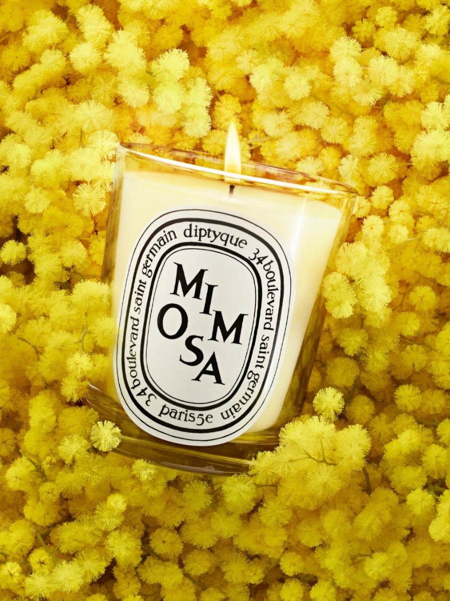Diptyque Paris Mimosa Small Candle
