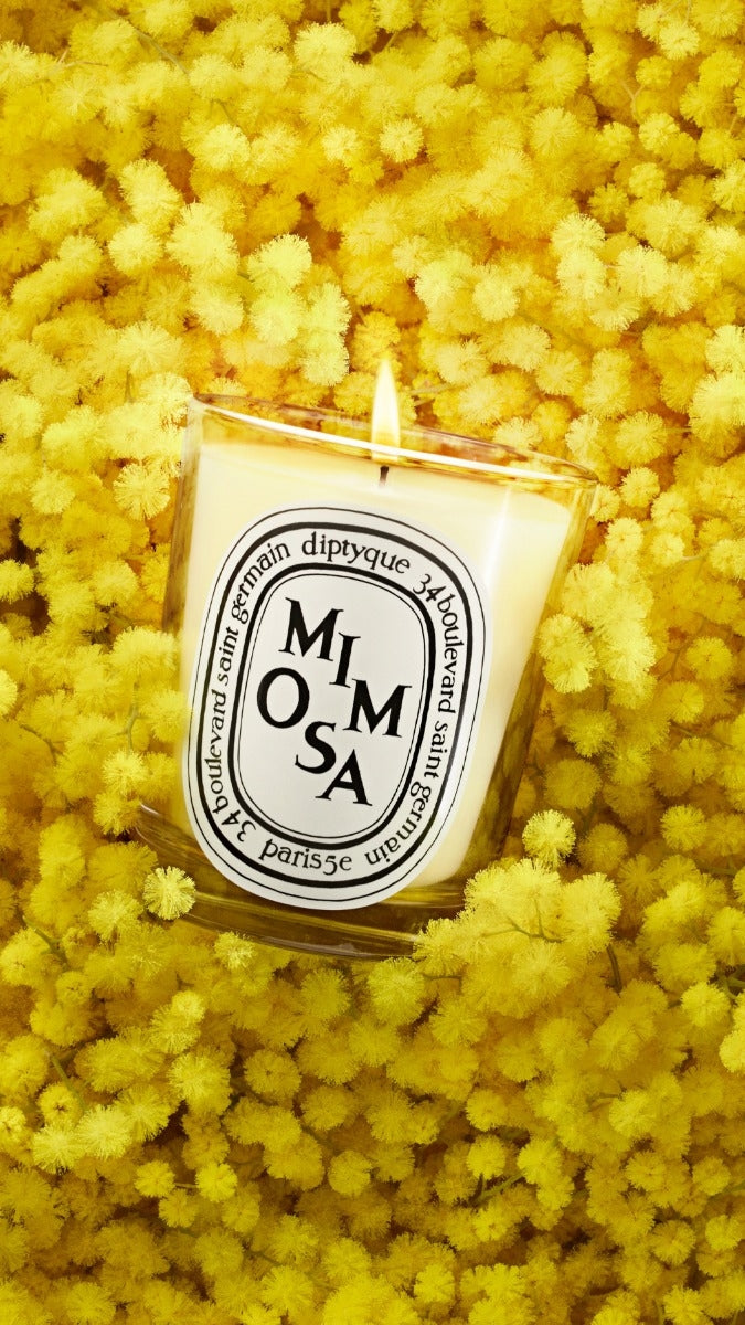 Diptyque Paris Mimosa Small Candle