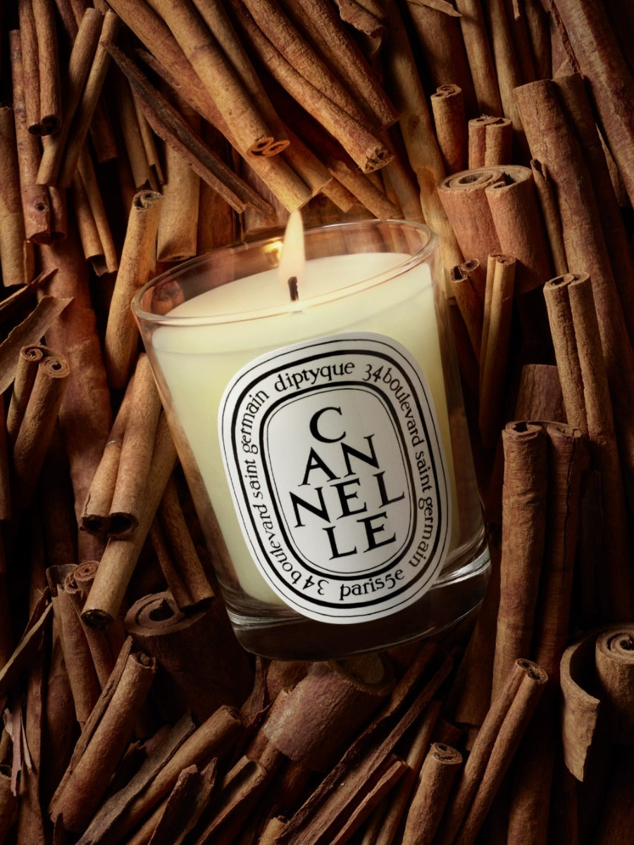Diptyque Paris Cannelle Cinnamon Classic Candle