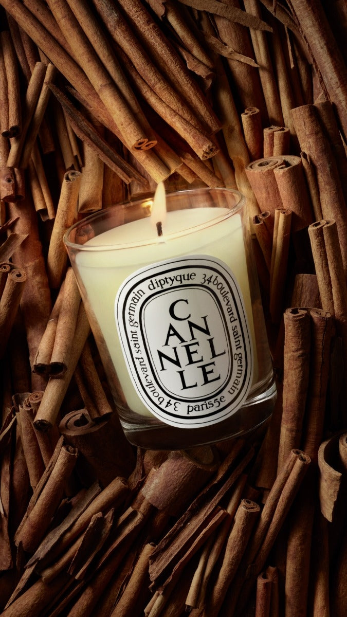 Diptyque Paris Cannelle Cinnamon Classic Candle