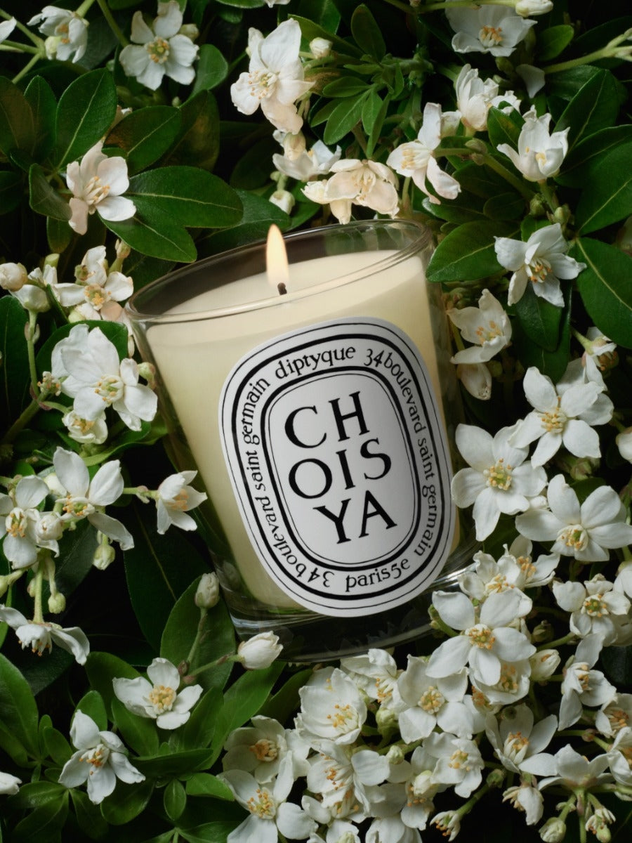 Diptyque Paris Choisya Orange Blossom Classic Candle