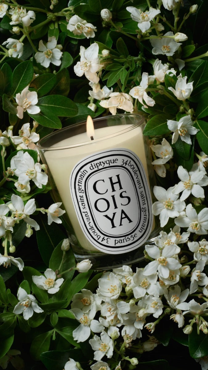Diptyque Paris Choisya Orange Blossom Classic Candle