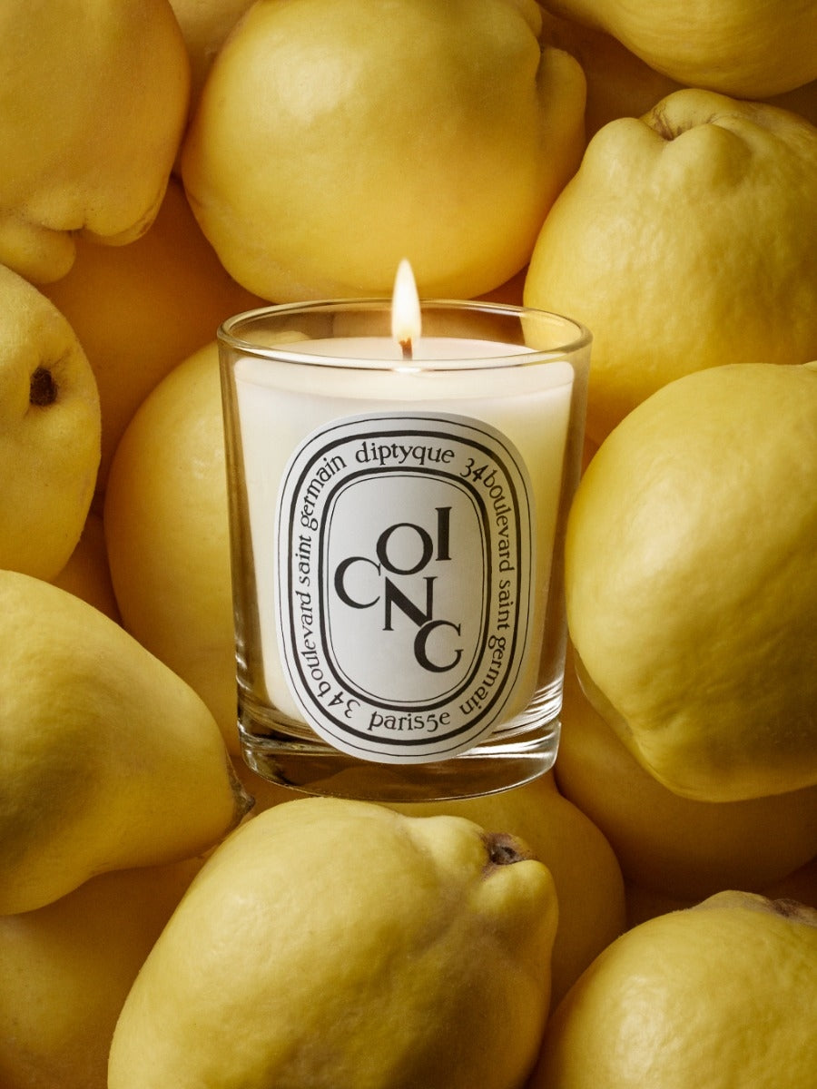 Diptyque Paris Coing Quince Classic Candle