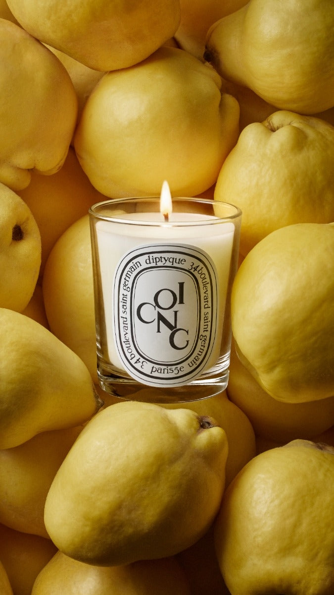 Diptyque Paris Coing Quince Classic Candle