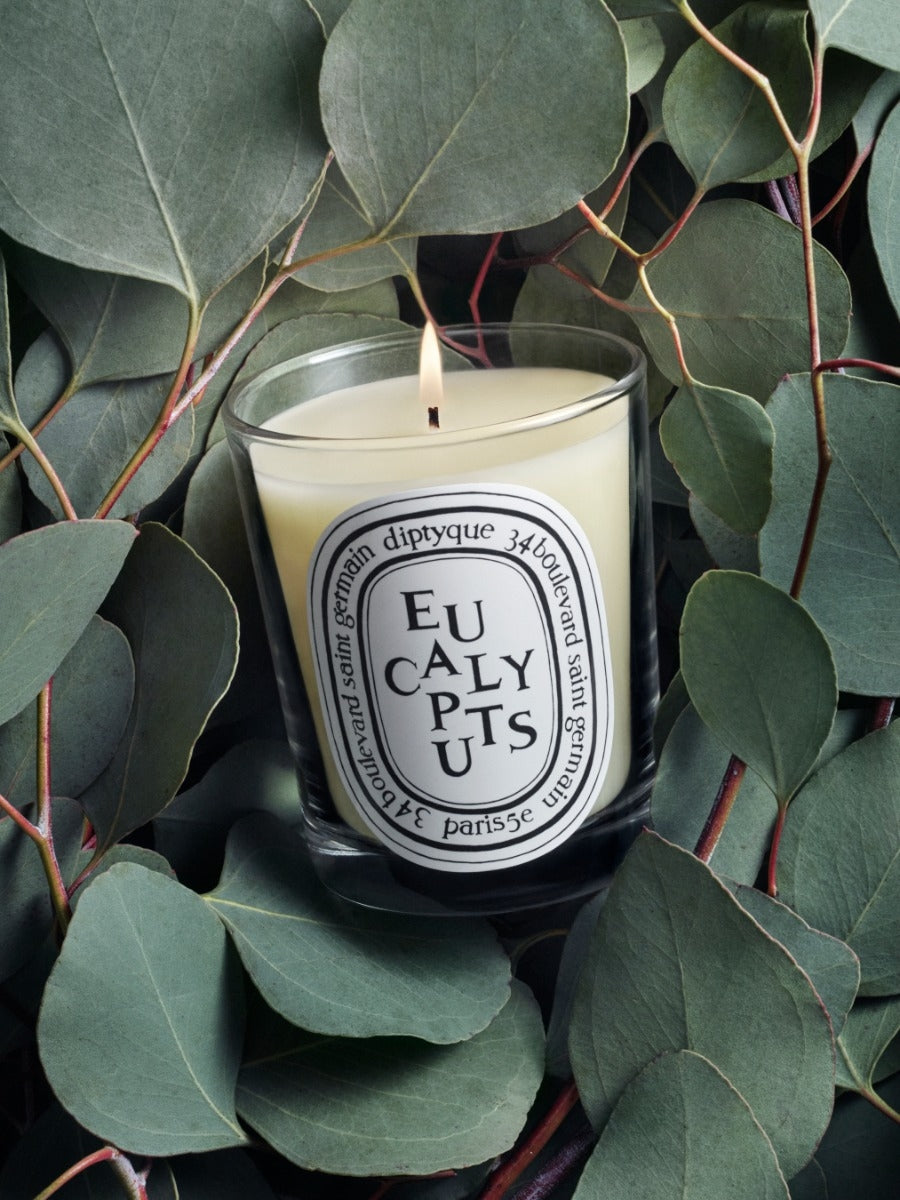 Diptyque Paris Eucalyptus Classic Candle