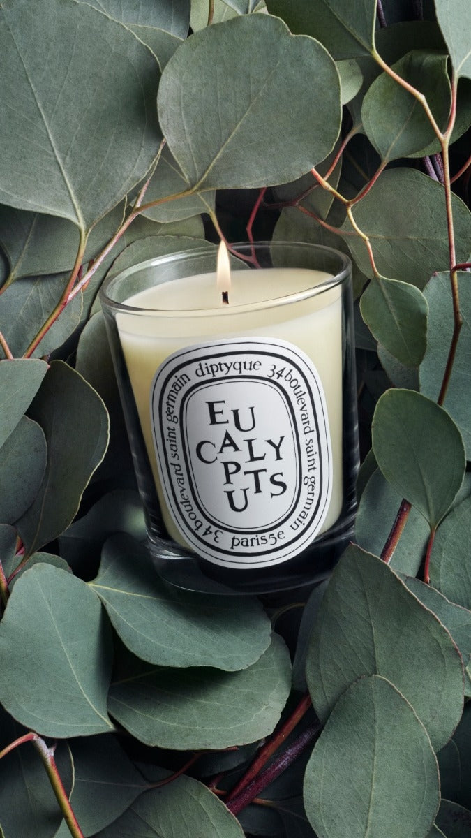Diptyque Paris Eucalyptus Classic Candle