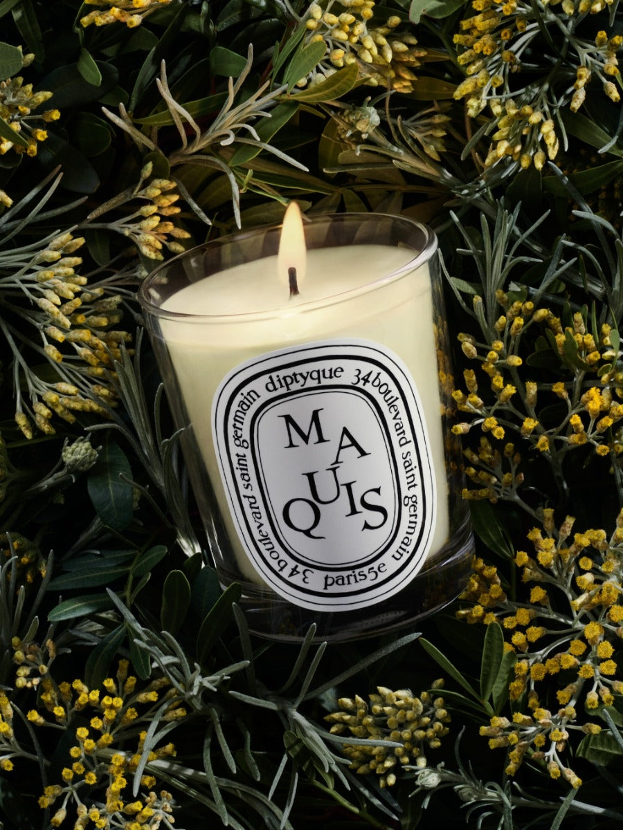 Diptyque Paris Maquis Scrub Classic Candle