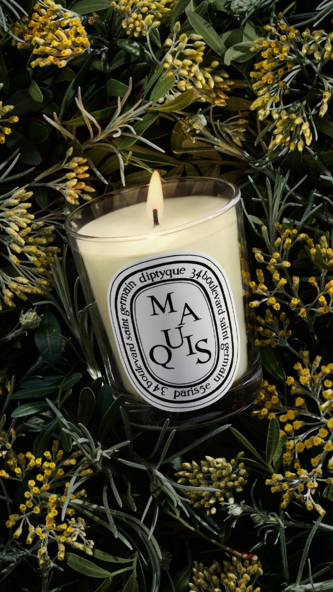Diptyque Paris Maquis Scrub Classic Candle