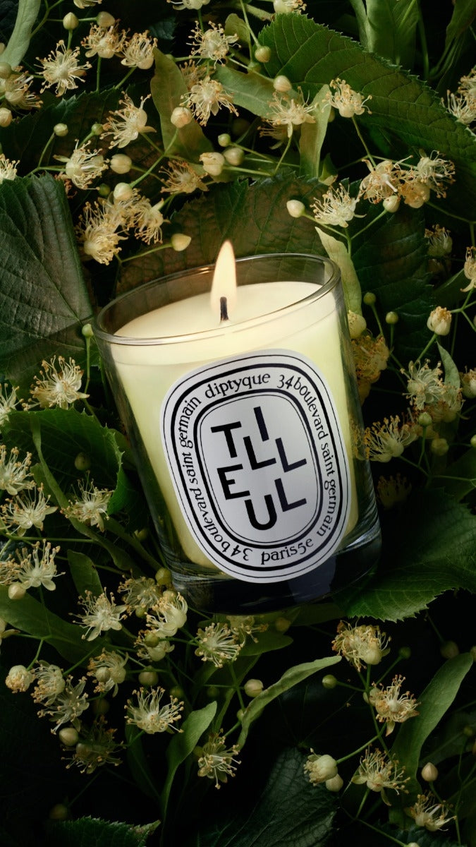 Diptyque Paris Tilleul Linden Tree Classic Candle