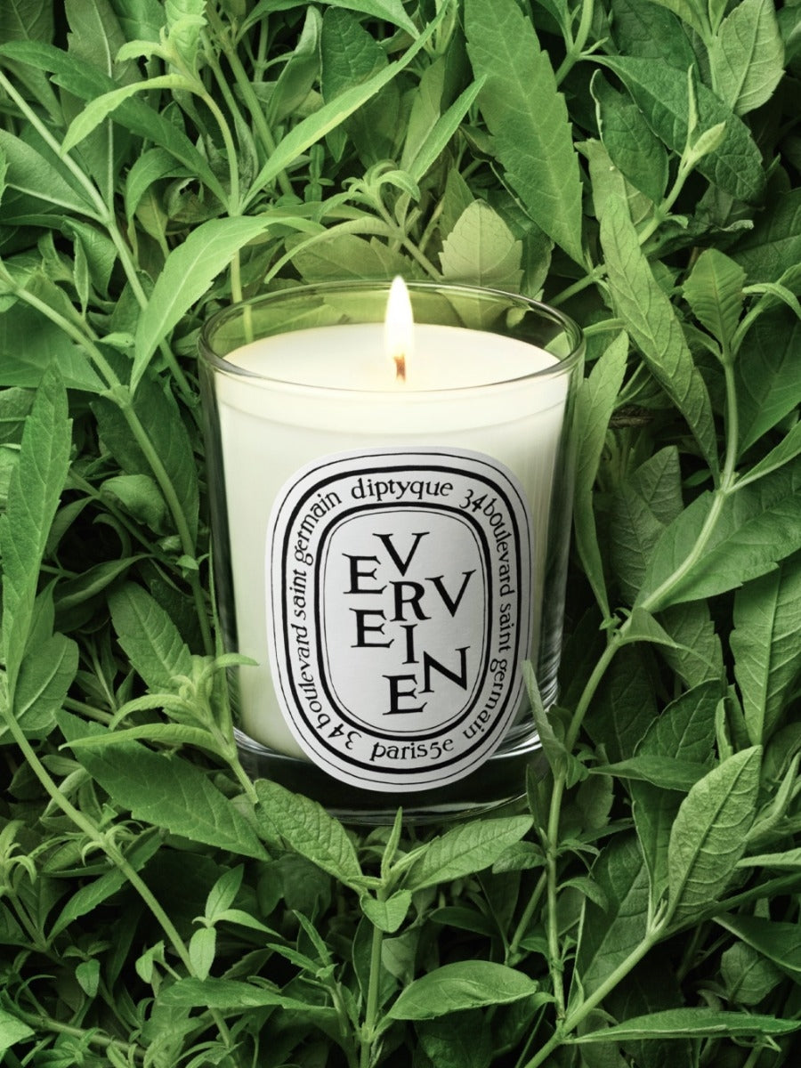 Diptyque Paris Verveine Lemon Verbena Small Candle