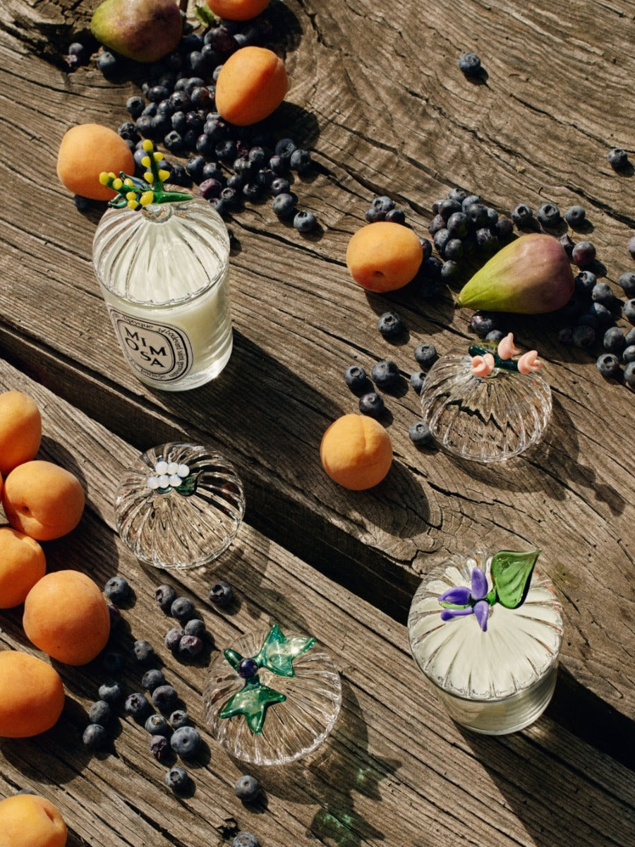 Diptyque Paris Baies Berries Lid for Classic Candles