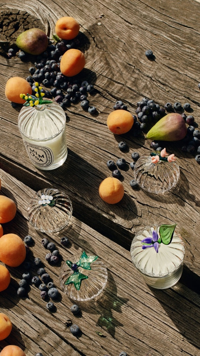 Diptyque Paris Baies Berries Lid for Classic Candles